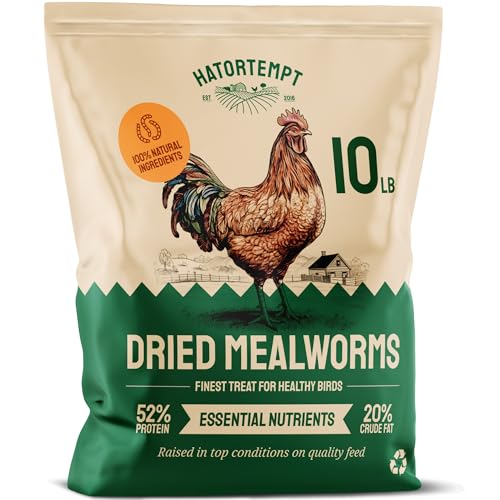 Hatortempt 10lbs Bulk Dried Mealworms - Premium Non-GMO Organic Chicken Feed, Nutritious High Protein Meal Worms- Food and Treats for Laying Hens, Wild Birds, Ducks, Reptiles, Fish, Hedgehogs, Turtles - 10 Pound (Pack of 1)
