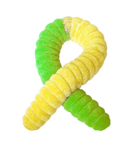 The Gummy Bear Guy | SOUR World's Largest Gummy Worm | Lemon/Lime - Lemon/Lime