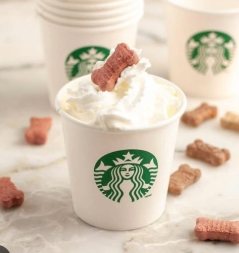 Coffee & Pupaccino 🐶 