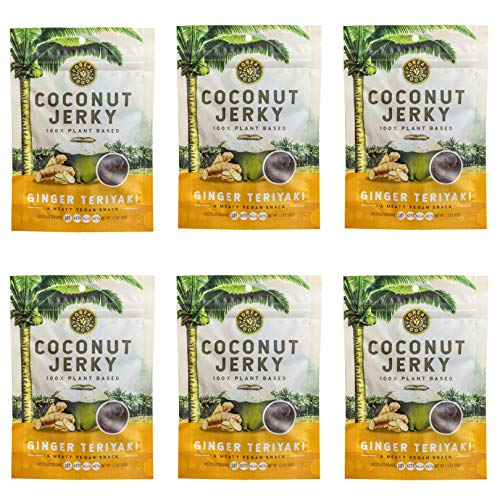 COCOBURG Vegan Coconut Jerky - Ginger Teriyaki Flavor | Paleo, Vegetarian, Keto, Gluten Free, Soy Free, Natural, Plant-Based, Clean, Whole 30, Low-Carb, Non-GMO, Healthy Snack, Coconut Aminos | 6 bags - Vegan Coconut Jerky - Ginger Teriyaki Flavor