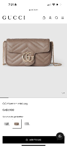 Gucci mini bag 