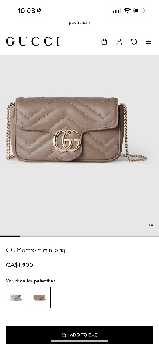 Gucci  mini bag 