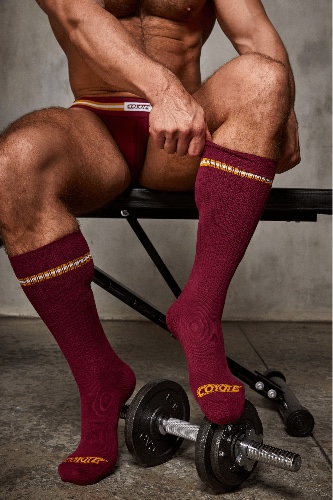 Coyote Burgundy Socks | One Size
