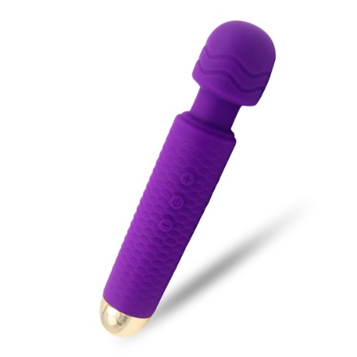 Eelctric Vibrator