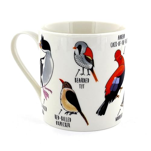 Ginger Fox - Fowl Language Bird Mug. Funny Coffee Mug with a Hidden Message. Novelty Mug for Coffee, Tea and Other Hot Drinks. Cool Coffee Mugs with Fowl Names. 360 ml Mug Capacity - Fowl Language Mug