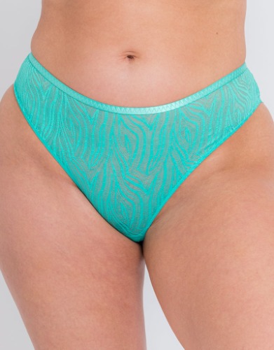 Curvy Kate Lace Daze Brazilian Blue Lagoon | 18