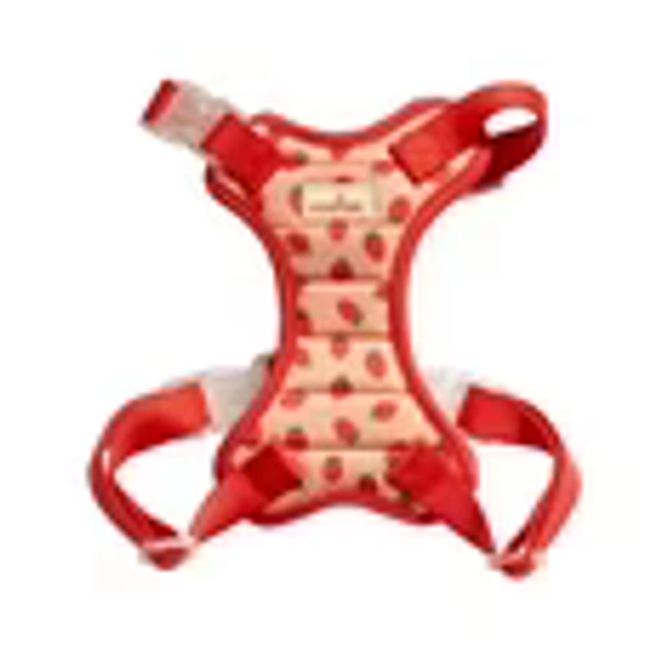 Oodles Sweet Strawberry Dog Walking Harness, Medium