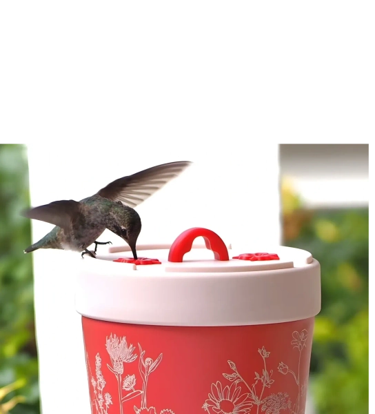 Healthy Hummingbird feeder 