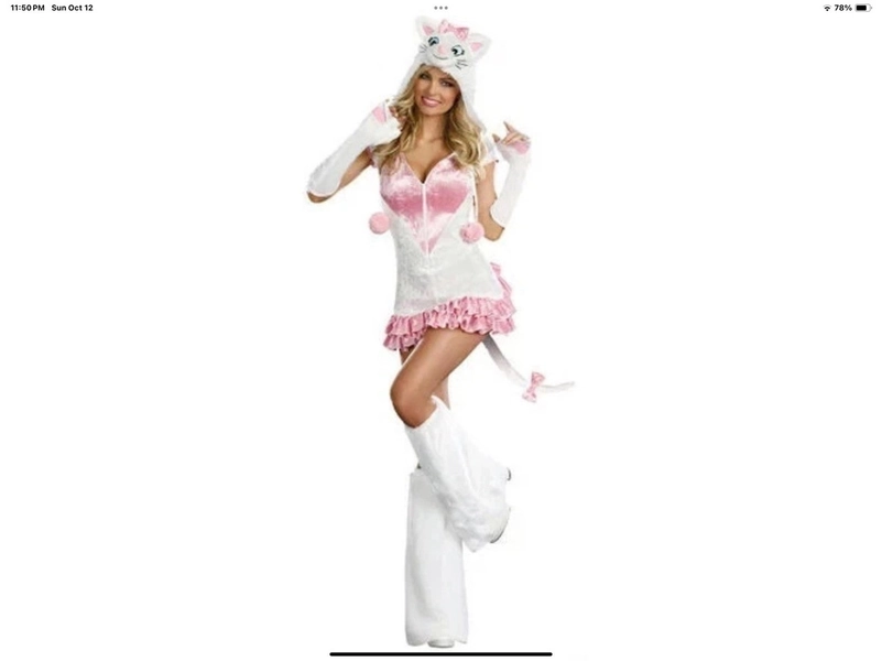 Pretty Kitty Costume
