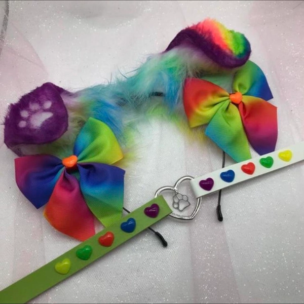 Rainbow Clown Puppy Ears and Collar