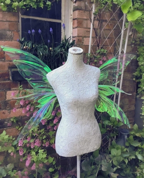 Butterfly princess Adult iridescent fairy wings