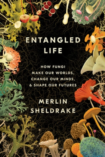 Entangled Life: How Fungi Make Our Worlds, Change Our Minds &amp; Shape Our Futures