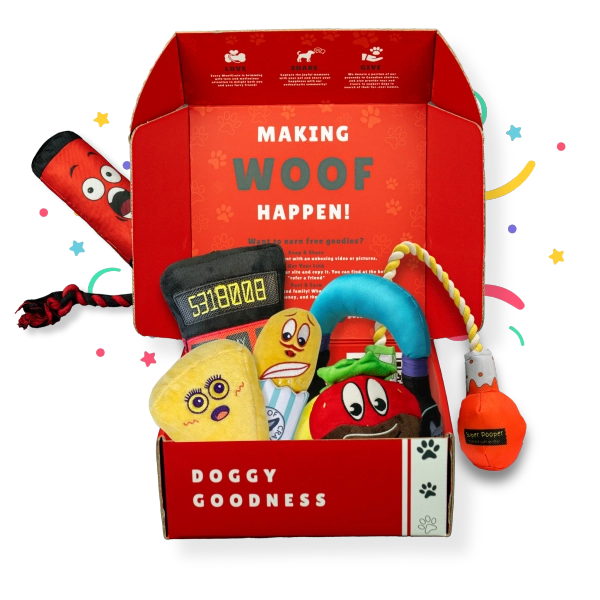 Surprise Box of Plush Dog Toys