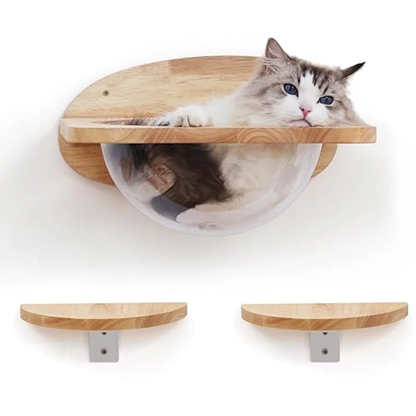 FUKUMARU Cat Wall Furniture Set, Transparent Capsule Cat Wall Shelves with 2 PCS Pedals - Premium Kitty Bed for Sleeping, Playing, Climbing, and Lounging - Easily Holds Up to 35 Lbs