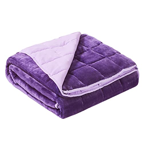 Satwip Weighted Blanket 20lbs Queen Size Fuzzy Warm Flannel Throw Blanket with Soft Breathable Sanded, 60 x 80 inches, Purple - 60x80 inch 20 lbs - Purple