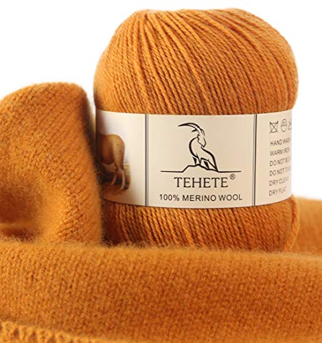 TEHETE 100% Merino Wool Yarn for Knitting 3-Ply Luxury Warm Soft Lightweight Crochet Yarn (Sky Blue) - Ginger 1 Ball
