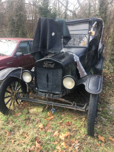 Privacy shade for my car 