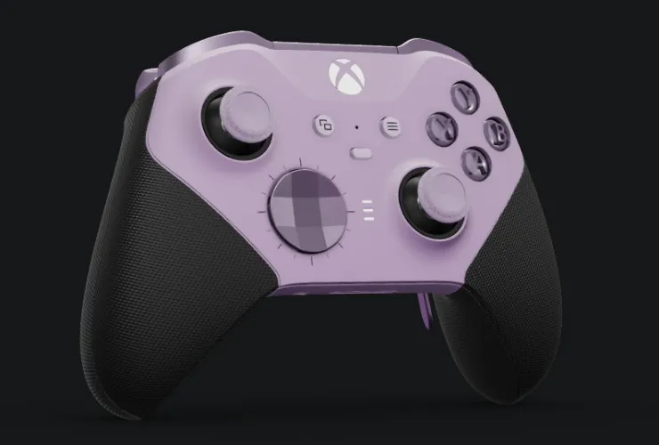 Custom Xbox Elite Controller 