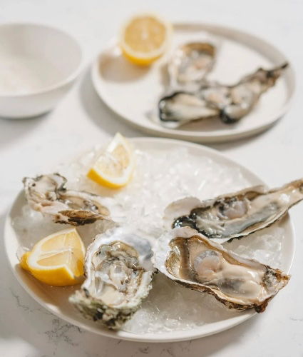 oysters + drinks 🍽 