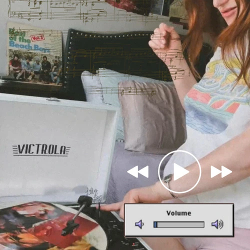 Buy Me Some Vinyls!