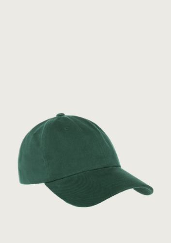 American Flag Cap - Spruce- Dad Hat