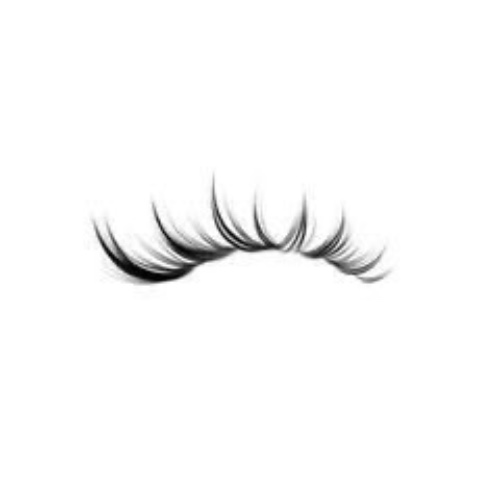 Lashes 