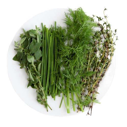 Refined Herb Mix Seed Bundle