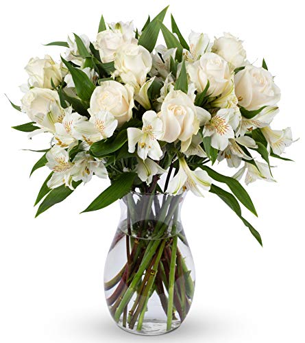 BENCHMARK BOUQUETS | Elegance Roses Bouquet, Prime Delivery, Free Vase, Farm Direct Fresh Flowers, Gift for Anniversary, Birthday, Congratulations, Get Well, Home Décor, Sympathy, Thanksgiving - White