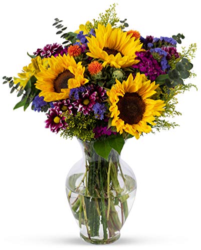 Benchmark Bouquets, Flowering Fields, Glass Vase Included, Gift Fresh Flowers for Birthday, Anniversary, Get Well, Sympathy, Congratulations, Thank You, Just Because