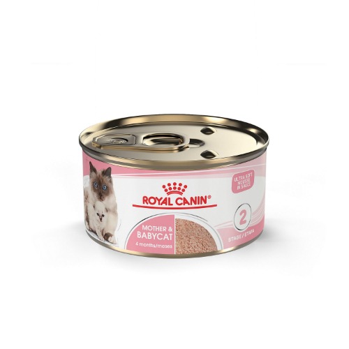 Royal Canin Mother & Babycat Mousse (1 Can)
