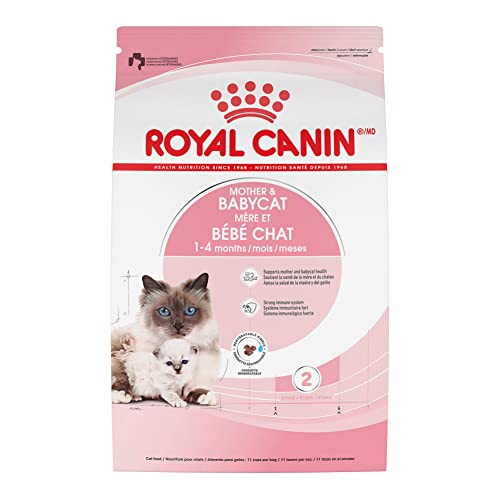 Royal Canin Mother & Babycat Dry Cat Food (6 lb bag)