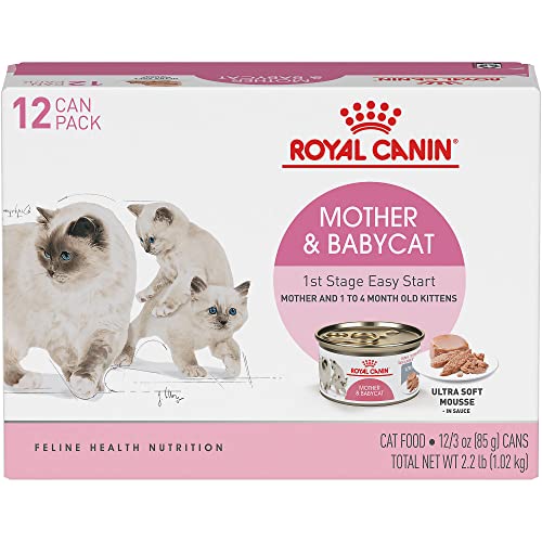 Royal Canin Mother & Babycat Mousse (12-count)