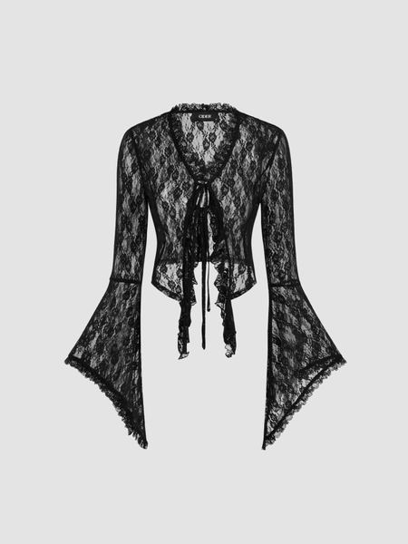 Lace V-neck Solid See-through Long Sleeve Top