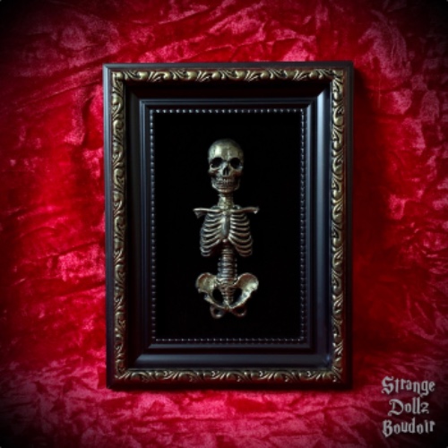 Skeleton frame, gothic home decor, luxury velvet, Strange Dollz Boudoir