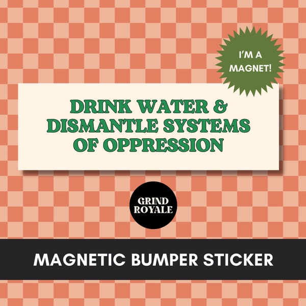 Dismantle Systems of Oppression Bumper Sticker