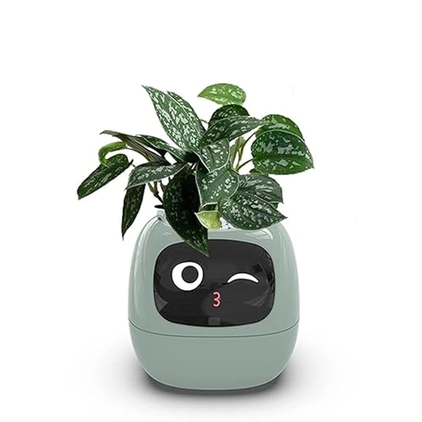 Smart Flowerpots,Smart Pet Planter,Ai Planter,Intelligent Flowerpots,Multiple Expressions,7 Smart Sensors, and Ai Chips Make Raising Plants Easy and Fun for Living Room,Plant-Free(Green)