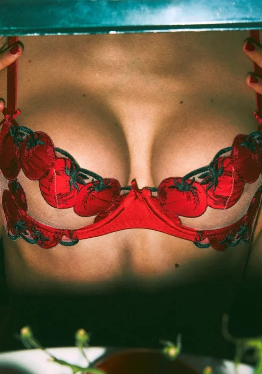 Pomodoro Embroidery Demi Bra