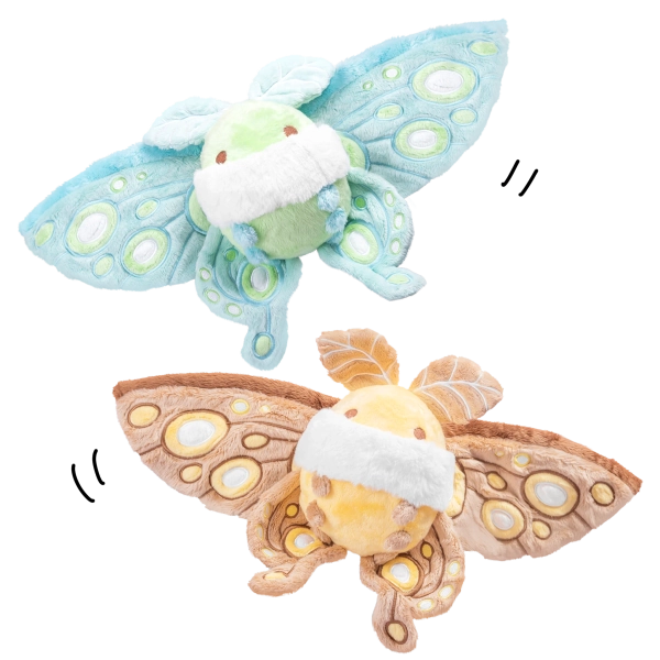 Sky and Terra the Fairy Moths