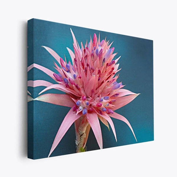 Kaleidoscope - Pink Tropical Flower Art