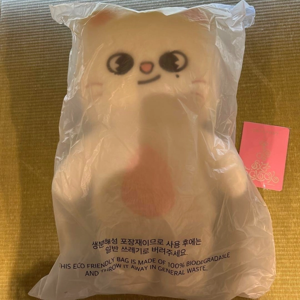 Stray Kids SKZOO Jiniret Official Plush Teddy Bear Ver. 5’clock W/Passport