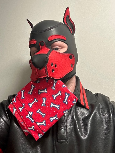 Best Buy Credit Card