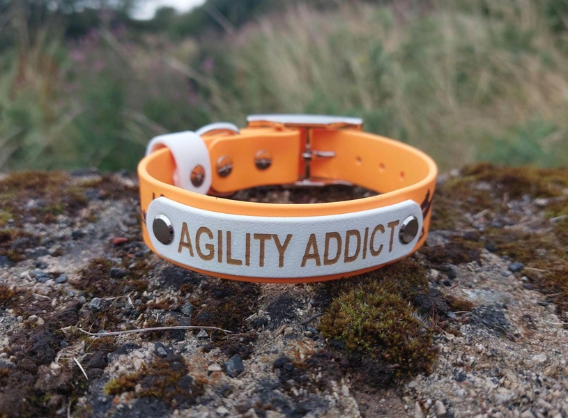 Custom Engraved Biothane C0llar (with nameplate)