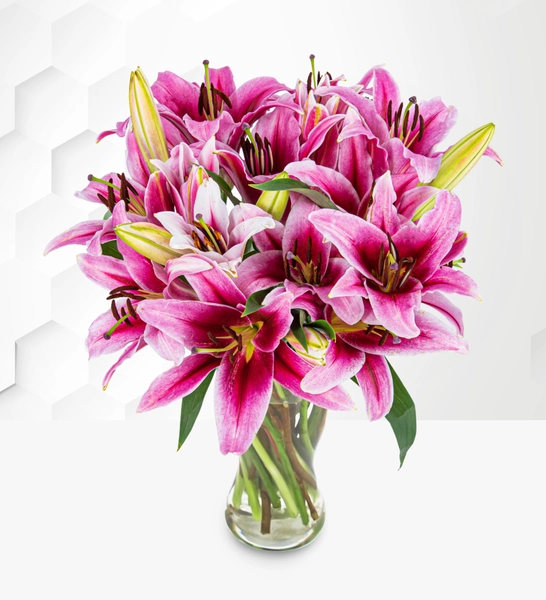 Stargazer Lilies
