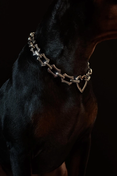 Luxury Stainless Steel Dog Chain . Dog jewelry. Dog necklace