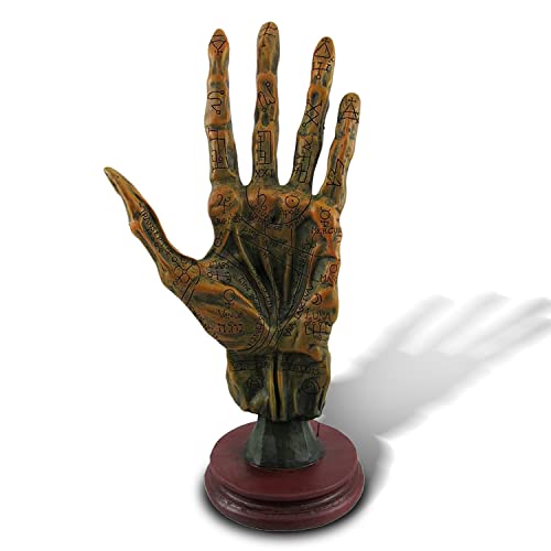 MEPERPER Palm Reading Hand 5x4x11, Hand Decor, Palmistry Hand Sculpture, Home Decor