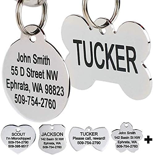 GoTags Stainless Steel Pet ID Tags, Personalized Dog Tags and Cat Tags, up to 8 Lines of Custom Text, Engraved on Both Sides, in Bone, Round, Heart, Bow Tie and More - Dog Bone Regular (Pack of 1)