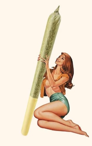 420 Supplies 🌳 💨 