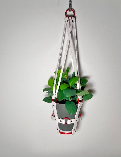 Basic Bitch 6" Plant Hanger with Red Rings - Red Rings / White pvc