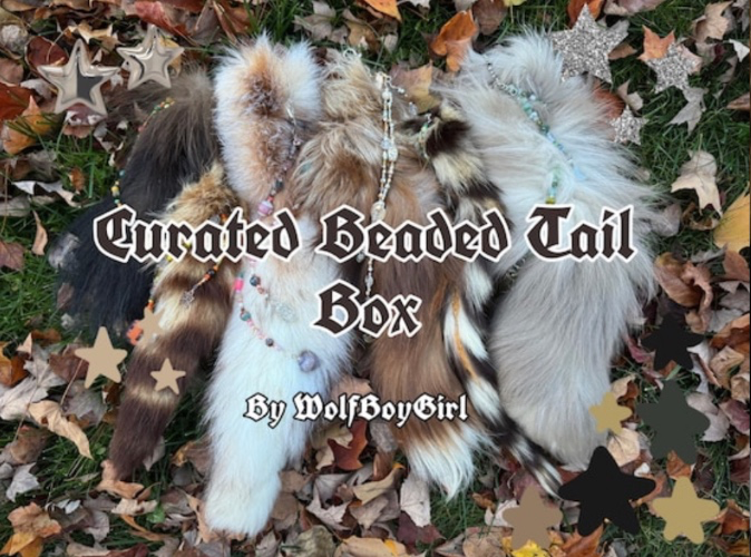Medium Curated Beaded Tail Box
