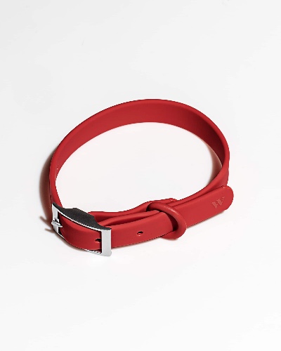 Collar | Strawberry / M